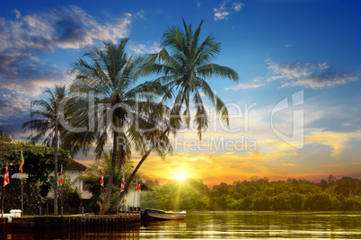 river, beautiful sunrise and tropical palms