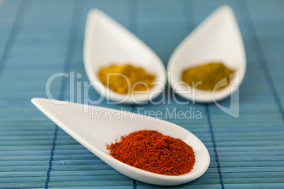 Dried ground spices in ceramic spoons