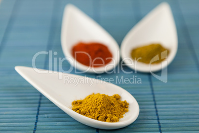 Dried ground spices in ceramic spoons