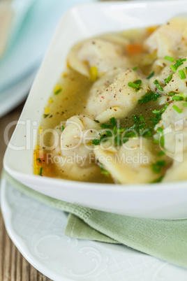 Dish of savory pork tortellini in broth pelmeni russian