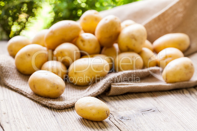 Farm fresh  potatoes on a hessian sack