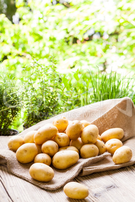 Farm fresh  potatoes on a hessian sack