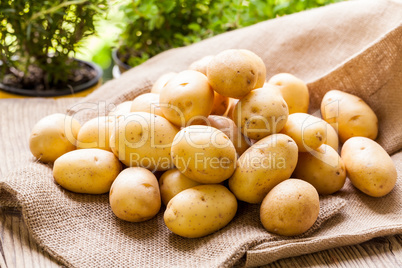 Farm fresh  potatoes on a hessian sack