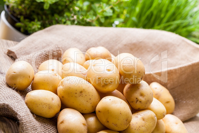 Farm fresh  potatoes on a hessian sack