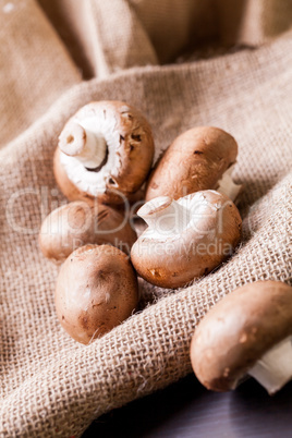 Fresh brown Agaricus mushrooms