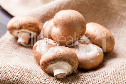 Fresh brown Agaricus mushrooms