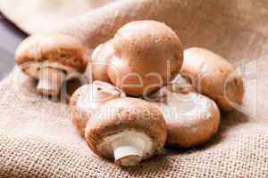 Fresh brown Agaricus mushrooms