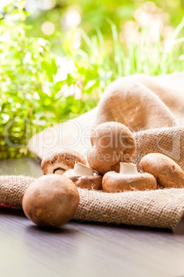 Fresh brown Agaricus mushrooms