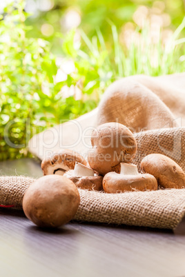 Fresh brown Agaricus mushrooms