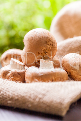 Fresh brown Agaricus mushrooms