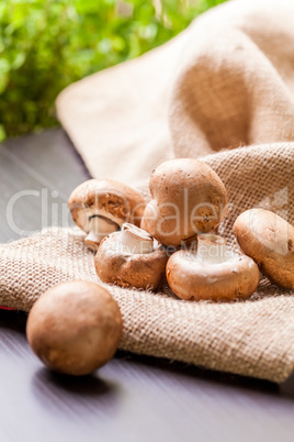 Fresh brown Agaricus mushrooms