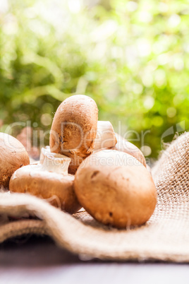 Fresh brown Agaricus mushrooms