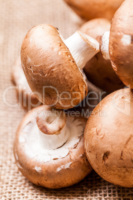 Fresh brown Agaricus mushrooms