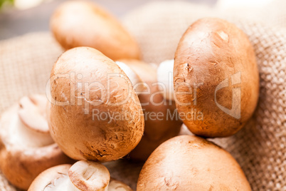 Fresh brown Agaricus mushrooms