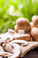 Fresh brown Agaricus mushrooms