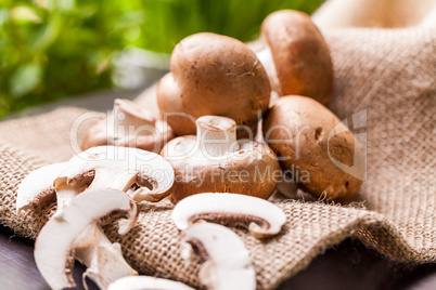 Fresh brown Agaricus mushrooms