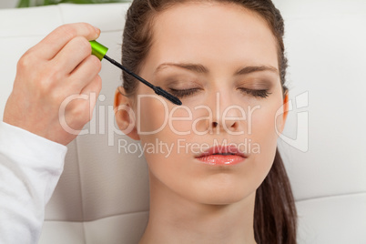 young attractive woman makeup eyebrow powder shadow applying