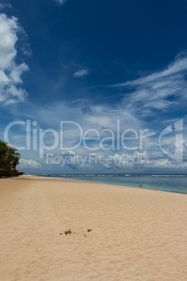 Beautiful tropical beach with lush vegetation