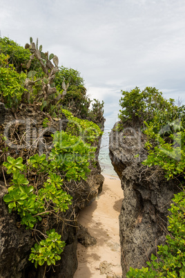 Beautiful tropical beach with lush vegetation