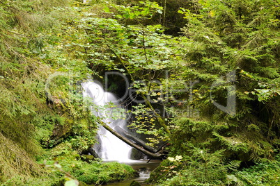 Lotenbachklamm im Schwarzwald