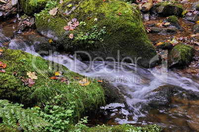 Lotenbachklamm im Schwarzwald