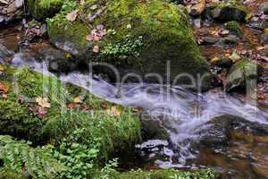 Lotenbachklamm im Schwarzwald