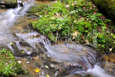 Lotenbachklamm im Schwarzwald