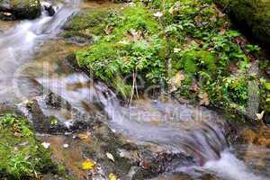 Lotenbachklamm im Schwarzwald