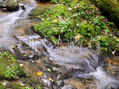 Lotenbachklamm im Schwarzwald