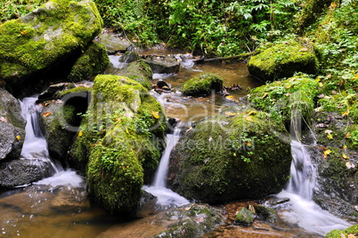 Lotenbachklamm im Schwarzwald