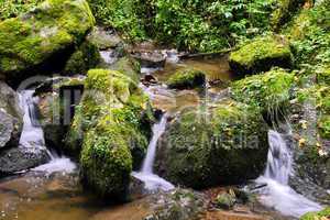 Lotenbachklamm im Schwarzwald