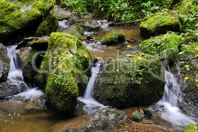 Lotenbachklamm im Schwarzwald