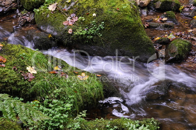 Lotenbachklamm im Schwarzwald