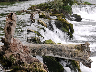 Rheinfall in Schaffhausen