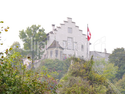 Schloss Laufen am Rheinfall