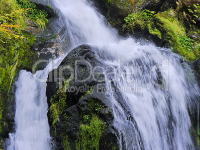 Triberger Wasserfall Schwarzwald