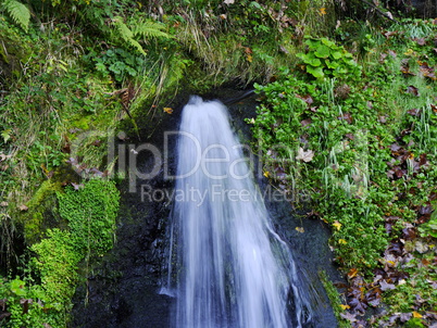 Triberger Wasserfall Schwarzwald