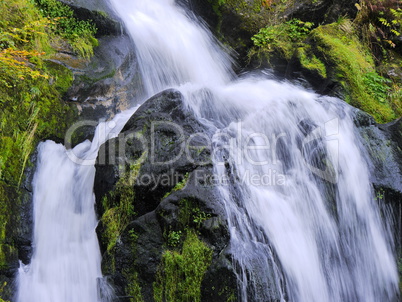 Triberger Wasserfall Schwarzwald