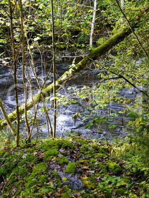 Wildbach Wutach