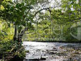 Naturpark Wutachschlucht