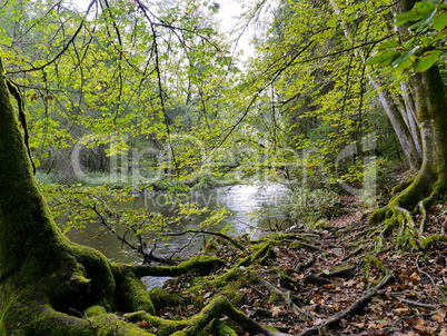 Naturpark Wutachschlucht