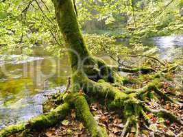 Naturpark Wutachschlucht