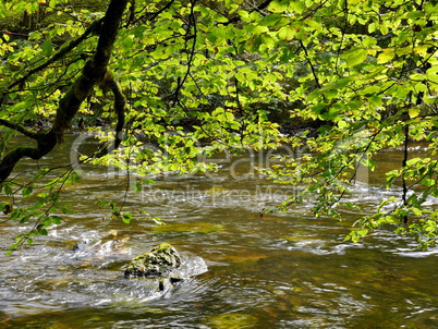 Naturpark Wutachschlucht