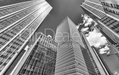 Buildings and skyline of Manhattan. New York City - USA