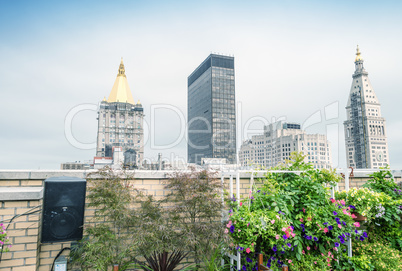 Buildings and skyline of Manhattan. New York City - USA