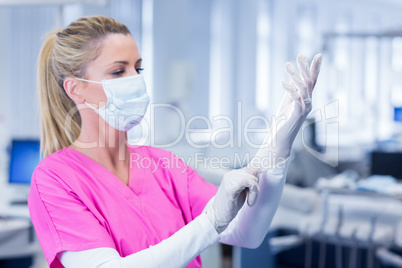 Dental in mask pulling on gloves