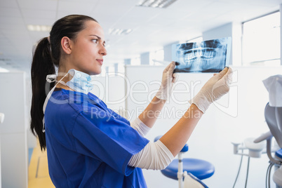 Serious dentist examining a x-ray