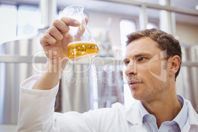 Focused scientist examining beaker with beer