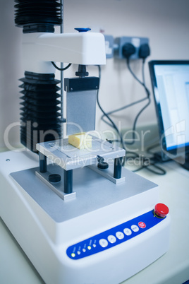 Food scientist using technology to analyse cheese