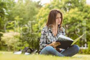 University student sitting reading book